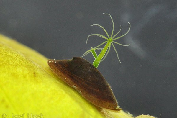 Качественные технологии krab7.at