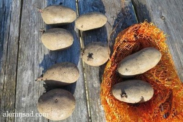 Надежный доступ к kra48.at